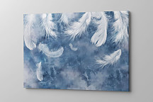 Obraz Lietajúce biele pierka 2011